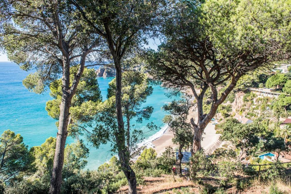 Camping Sunissim Cala Llevado 4 By Locatour Hotell Tossa de Mar Exteriör bild